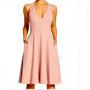 NWT. Dress the Population. Catalina Fit & Flare. Blush Size Medium.